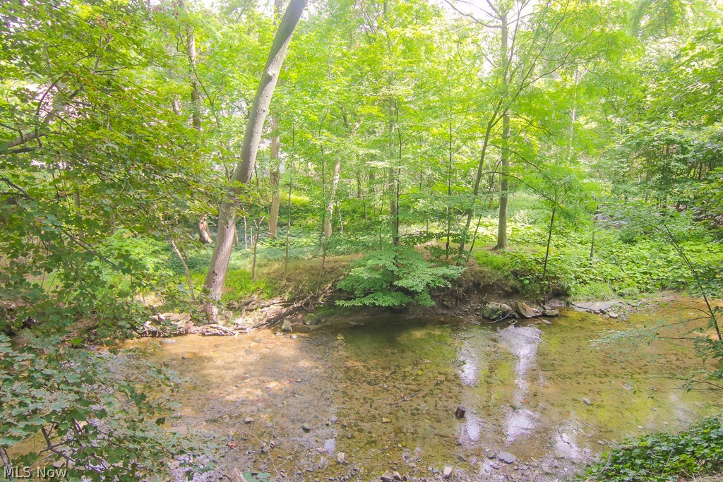 4501 Emerson Road Cleveland, OH 44121 - Photo 16 of 16