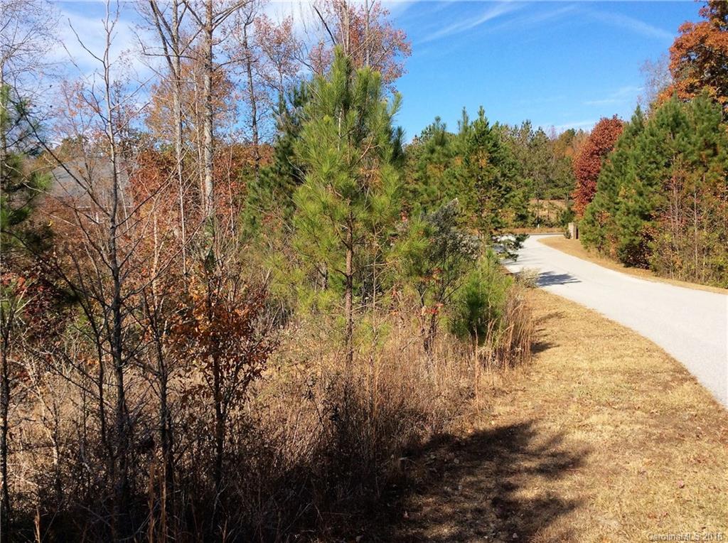 1-2 5 11 12 Colton Ridge, Unit 1 Lancaster, SC 29720 - Photo 2 of 18