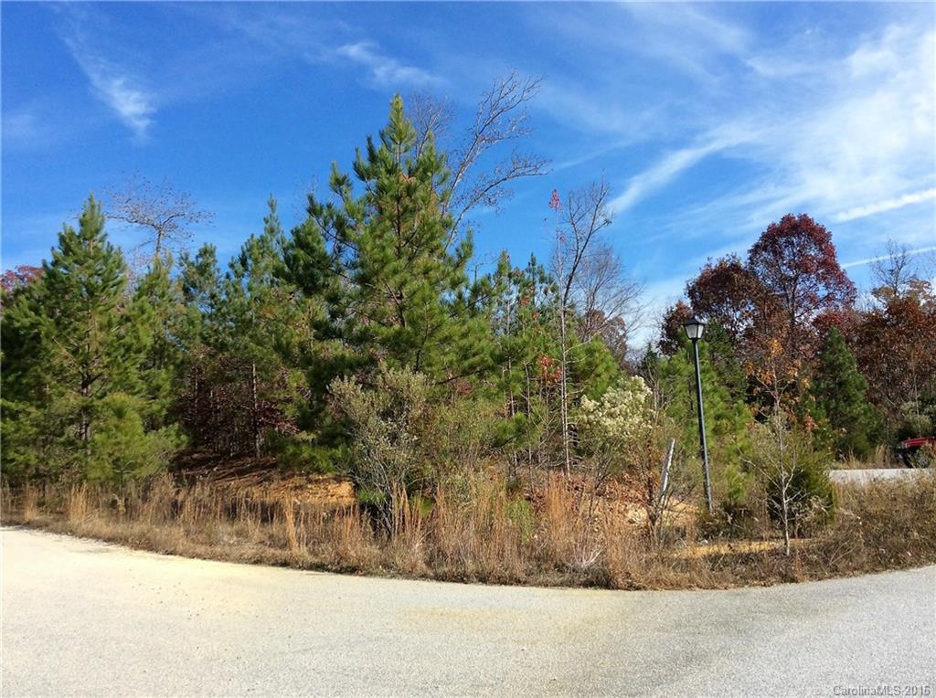 1-2 5 11 12 Colton Ridge, Unit 1 Lancaster, SC 29720 - Photo 11 of 18