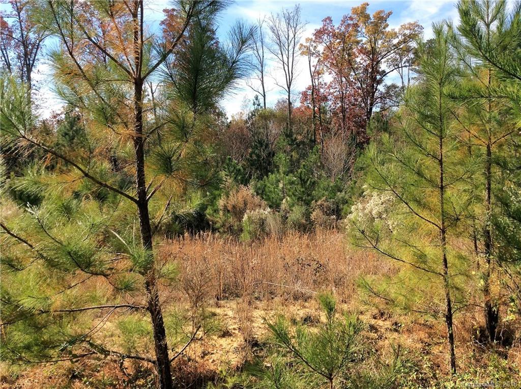 1-2 5 11 12 Colton Ridge, Unit 1 Lancaster, SC 29720 - Photo 3 of 18