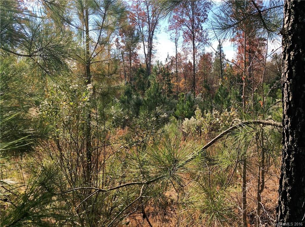 1-2 5 11 12 Colton Ridge, Unit 1 Lancaster, SC 29720 - Photo 4 of 18