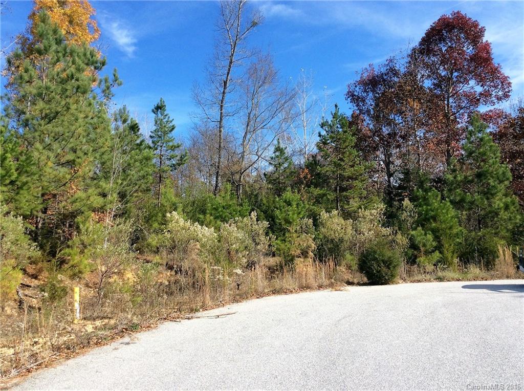 1-2 5 11 12 Colton Ridge, Unit 1 Lancaster, SC 29720 - Photo 10 of 18