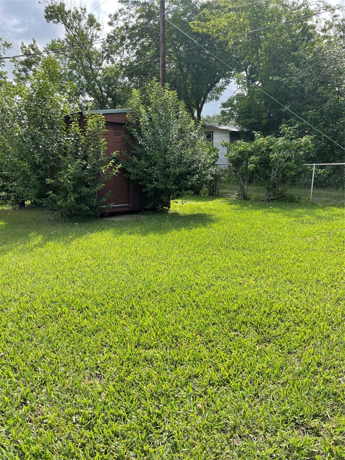 1733 Brumbelow Street Rosenberg, TX 77471 - Photo 30 of 36 a view of a yard with a tree