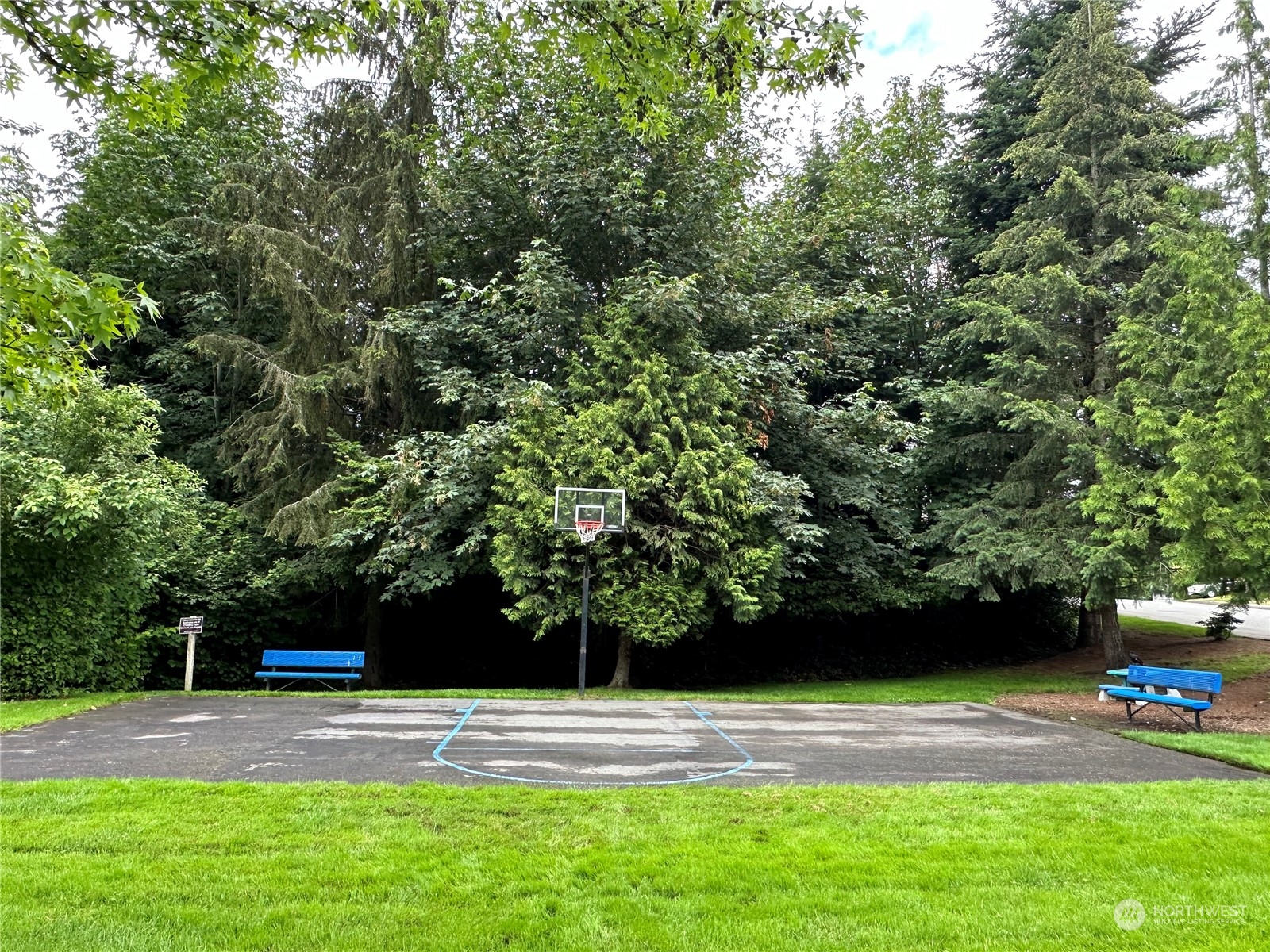 20014 34th Avenue Southeast Bothell, WA 98012 - Photo 21 of 22 a view of a yard