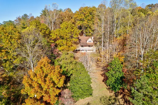 a view of backyard of the house