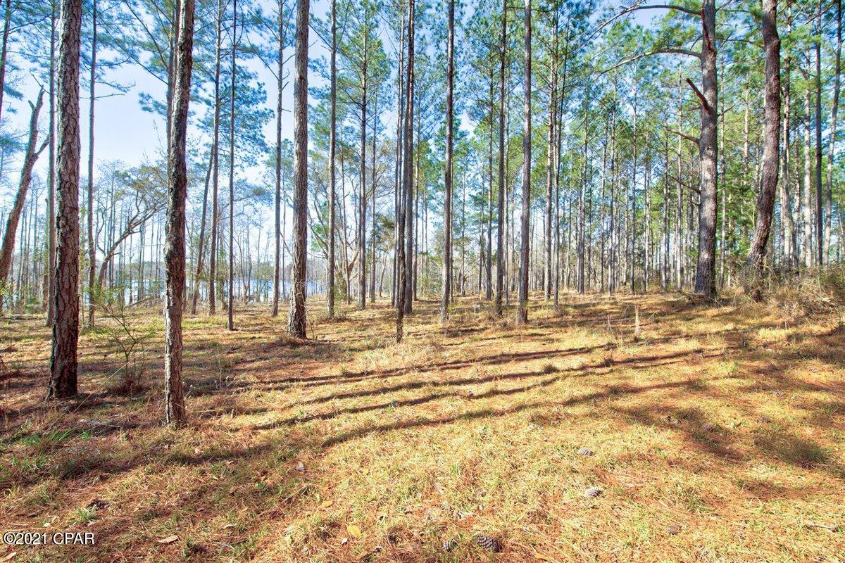 3061 River Road Vernon, FL 32462 - Photo 20 of 24