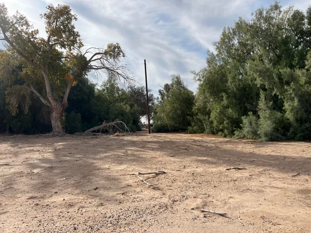 a view of outdoor space with trees