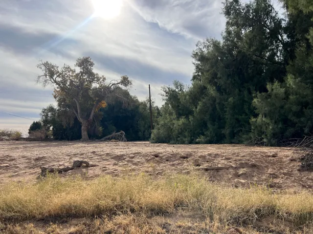 a view of outdoor space with trees