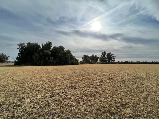 a view of empty space with wooden fence