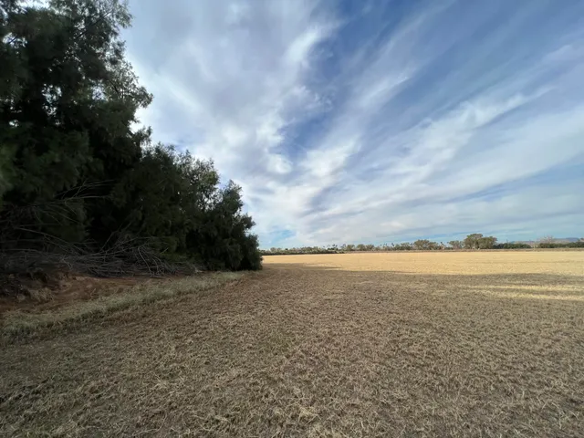 a view of an ocean and beach