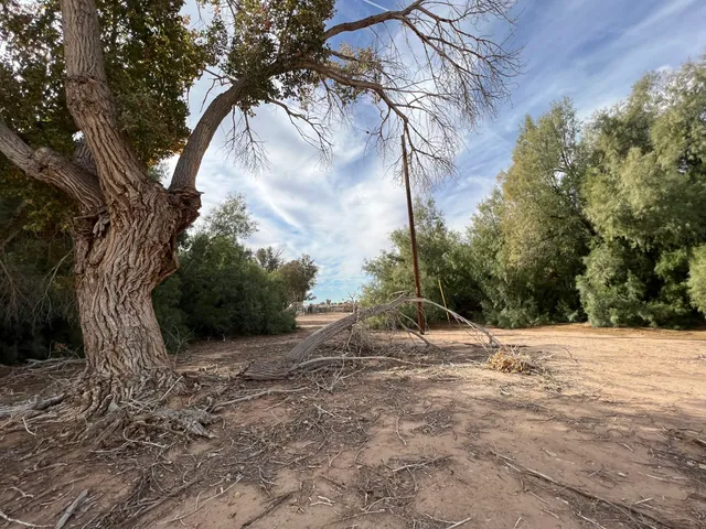 a view of a backyard of the house