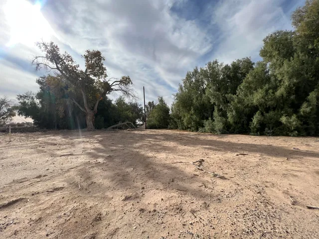 a view of a backyard of a house