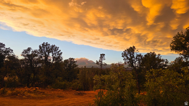 95 Wray Mesa Road, Unit 10 La Sal, UT 84530 - Photo 1 of 14 La Sal Mountains