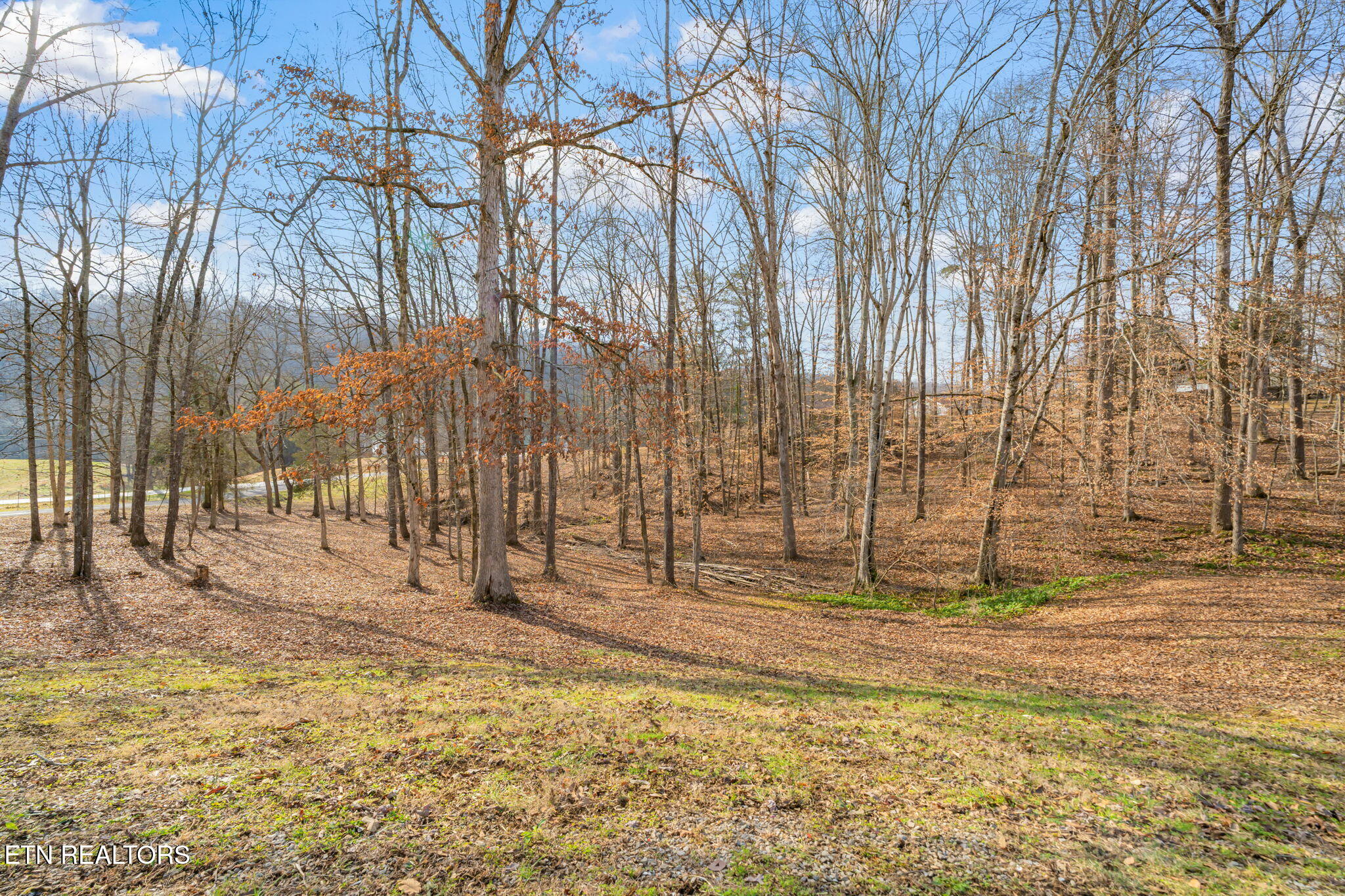 115 Jamie Street Maynardville, TN 37807 - Photo 40 of 58 41-web-or-mls-115 Jamie Street-36