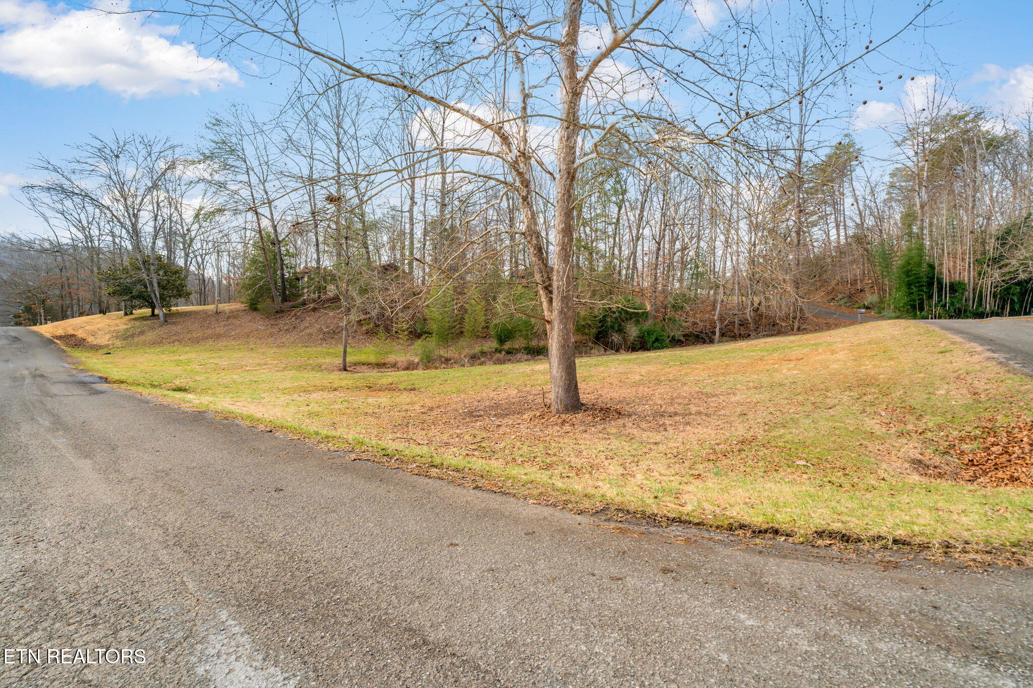 115 Jamie Street Maynardville, TN 37807 - Photo 57 of 58 52-web-or-mls-115 Jamie Street-51