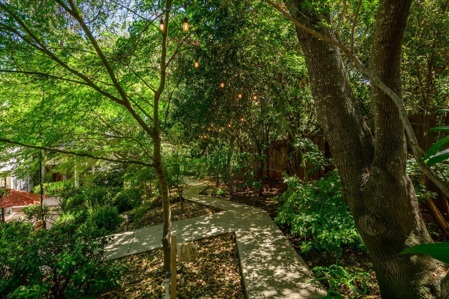 3165 Oakwood Road Cameron Park, CA 95682 - Photo 54 of 55