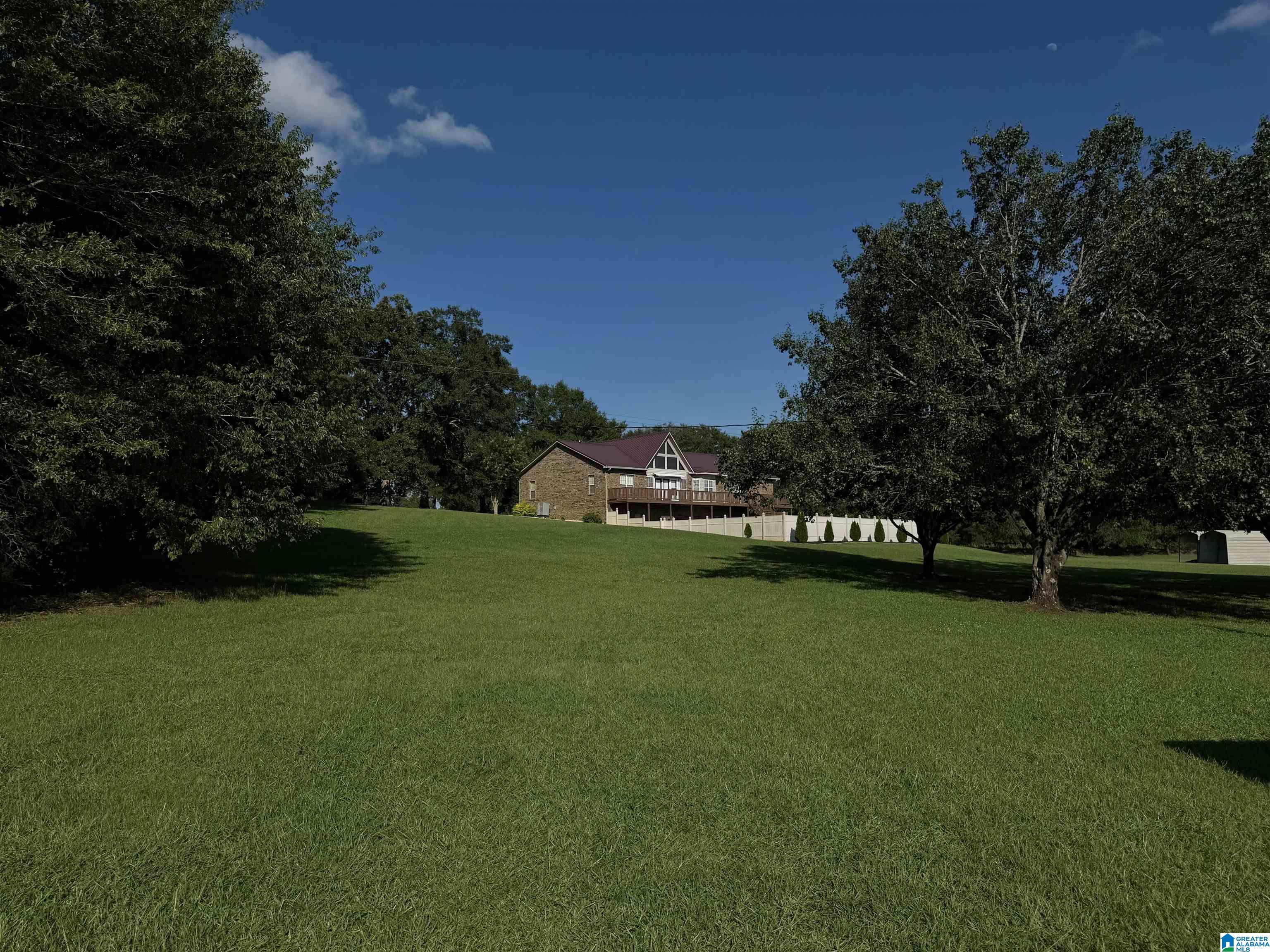 4495 Odena Road Road Alpine, AL 35014 - Photo 4 of 4