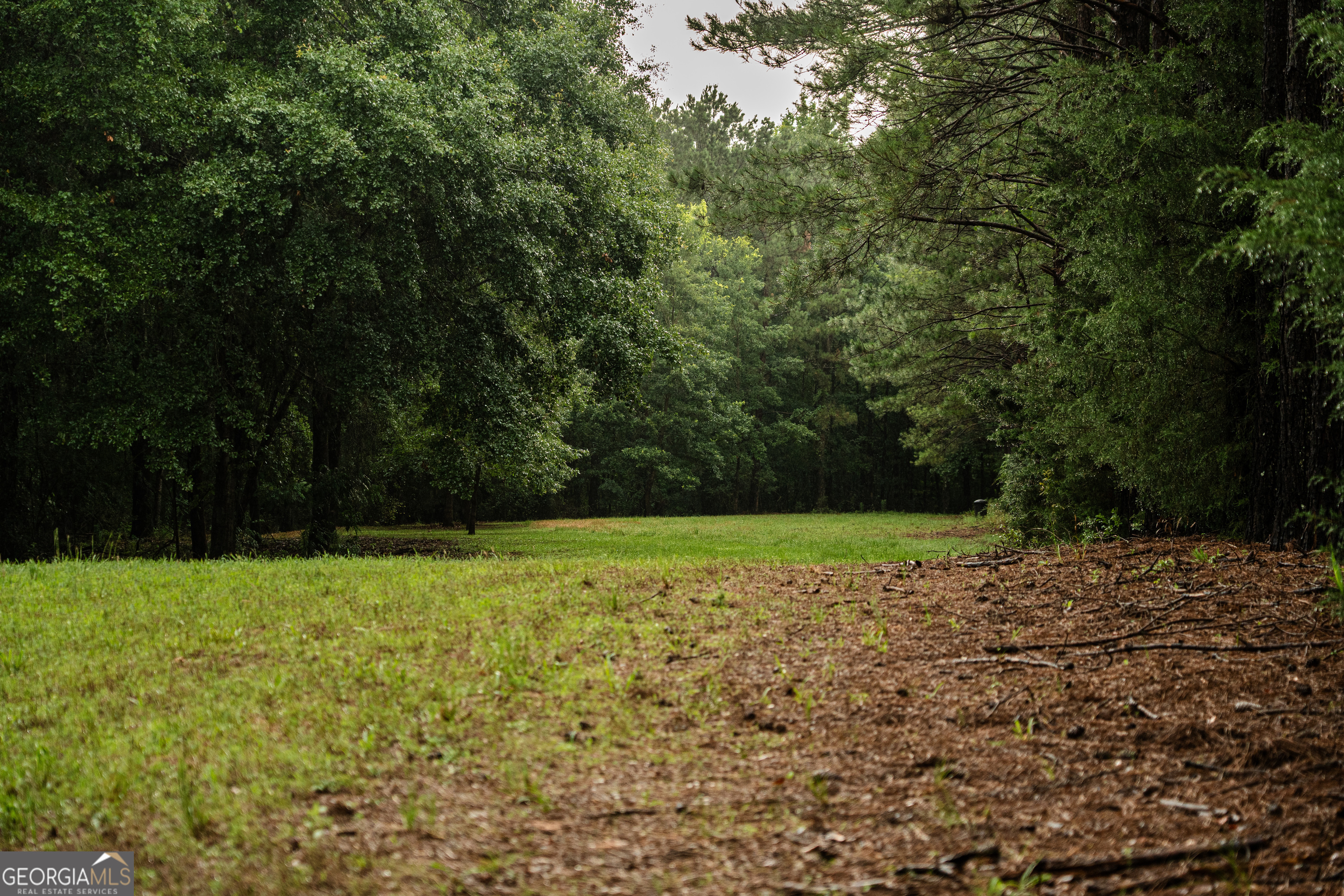 990 Highway 49 Americus, GA 31719 - Photo 76 of 121