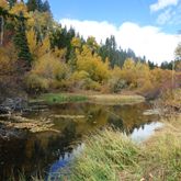 $5,995,000 | 3975 North Fish Creek Road, Wilson, WY 83014