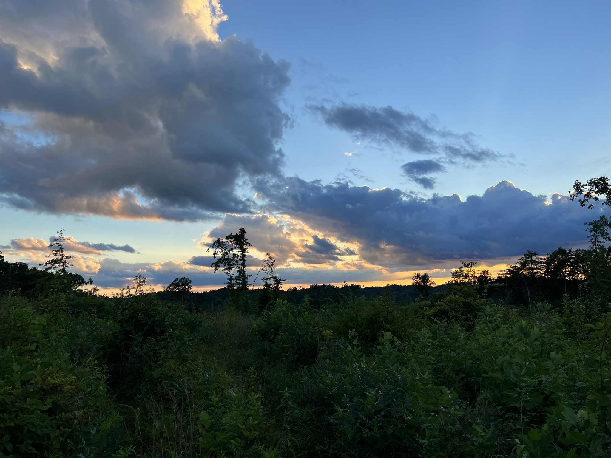 0 Tate Hollow Road Louisa, KY 41230 - Photo 27 of 50