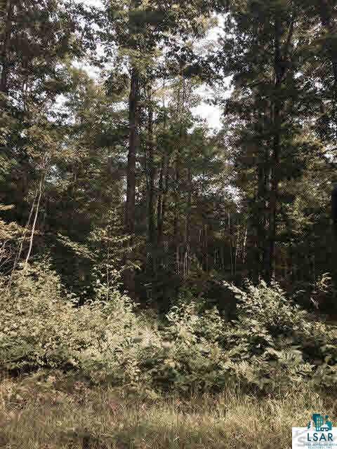 0 Paulson Road Washburn, WI 54891 - Photo 1 of 6 Gallery Image 1