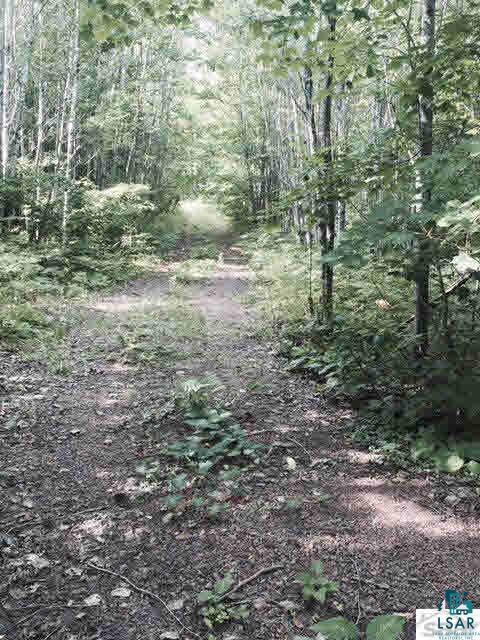 0 Paulson Road Washburn, WI 54891 - Photo 3 of 6 Gallery Image 3