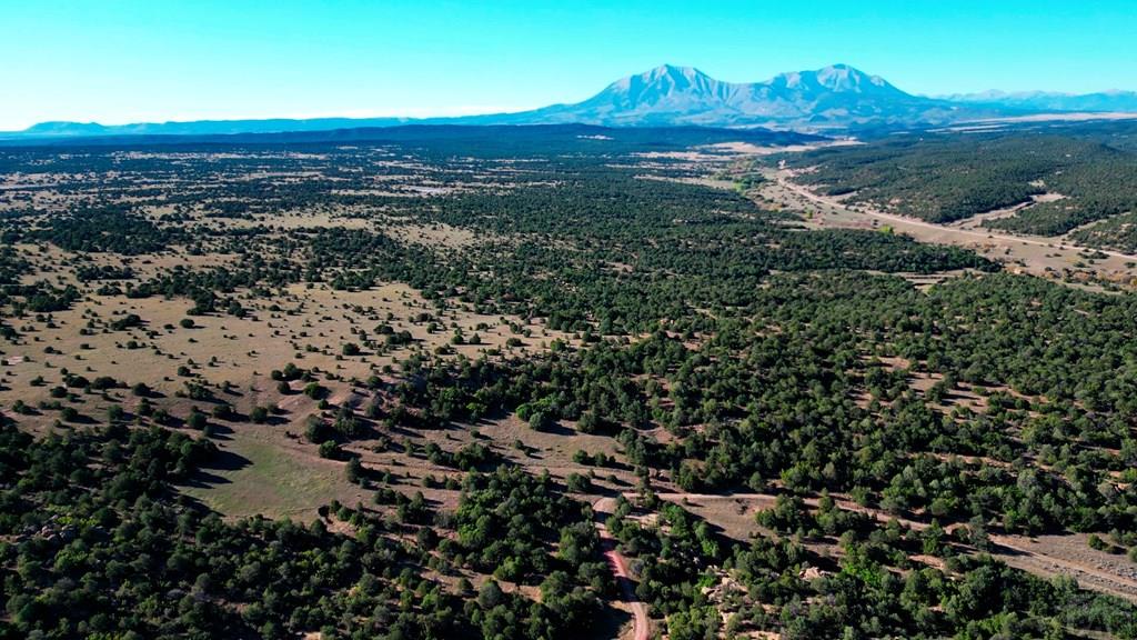 Tbd Bear Creek Road Walsenburg, CO 81089 - Photo 33 of 37
