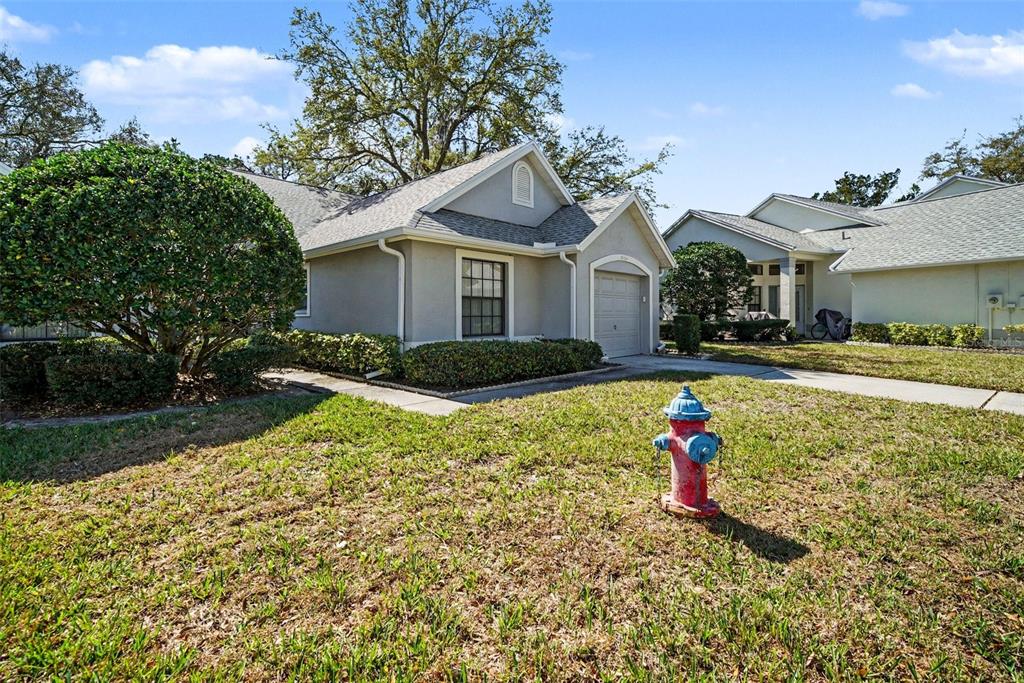 9124 Bassett Lane New Port Richey, FL 34655 - Photo 4 of 41