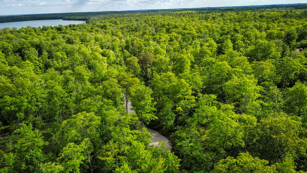Tbd Lot3 Isle View Road Ellison Bay, WI 54210 - Photo 16 of 25 Gallery Image 16