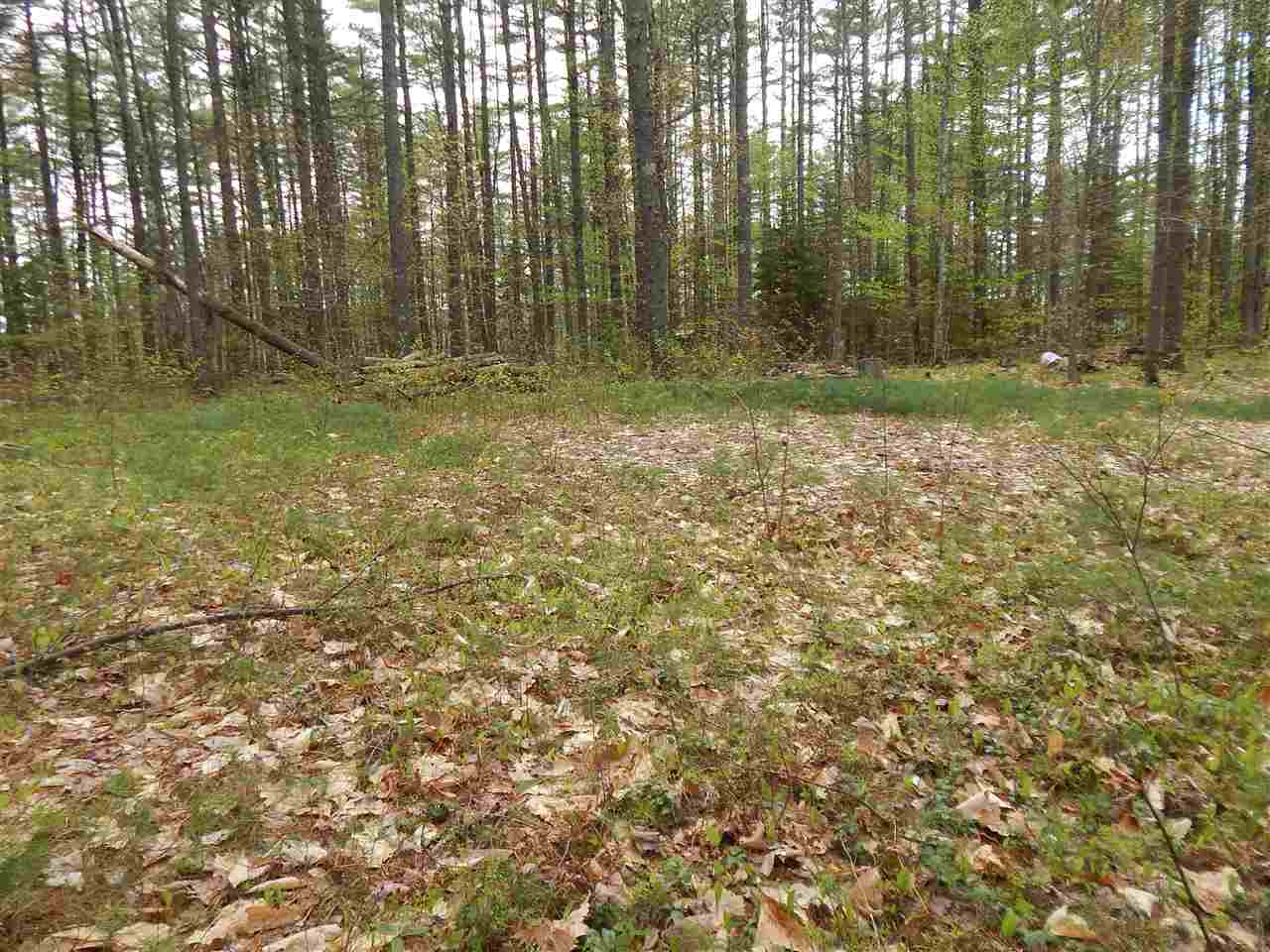 73 Robinhood Road Wakefield, NH 03830 - Photo 1 of 7 Gallery Image 1