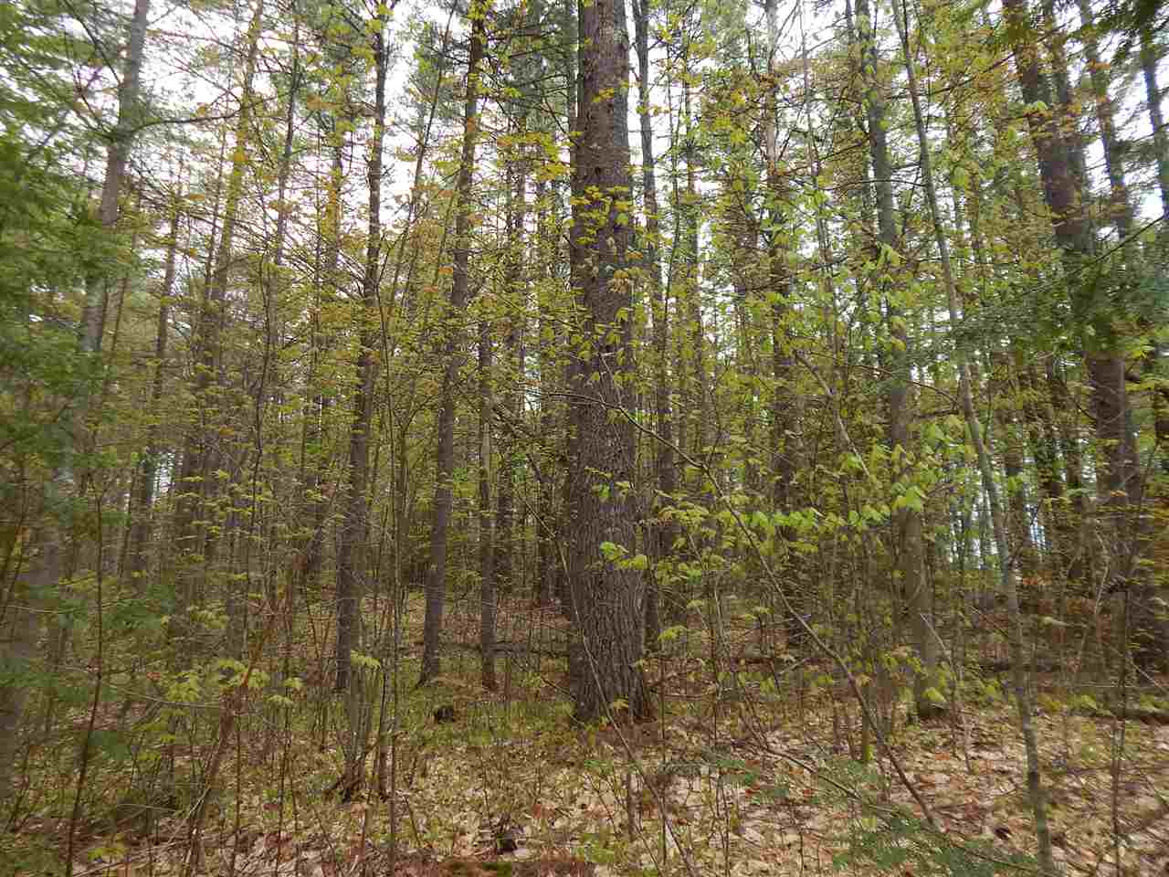 73 Robinhood Road Wakefield, NH 03830 - Photo 3 of 7 Gallery Image 3