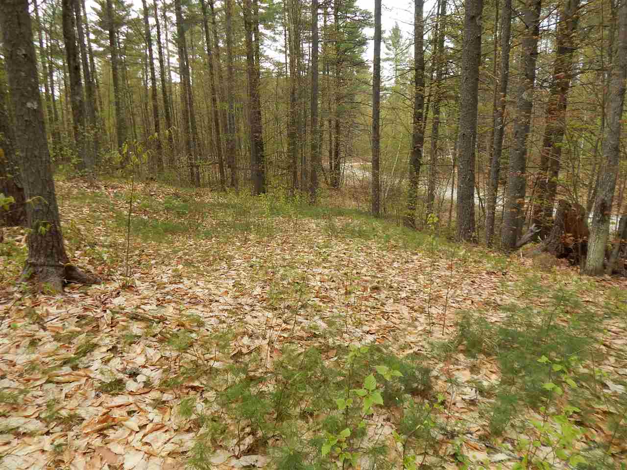73 Robinhood Road Wakefield, NH 03830 - Photo 4 of 7 Gallery Image 4