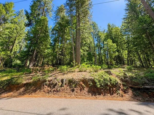 $29,900 | 2221 Forebay Road, Pollock Pines, CA 95726