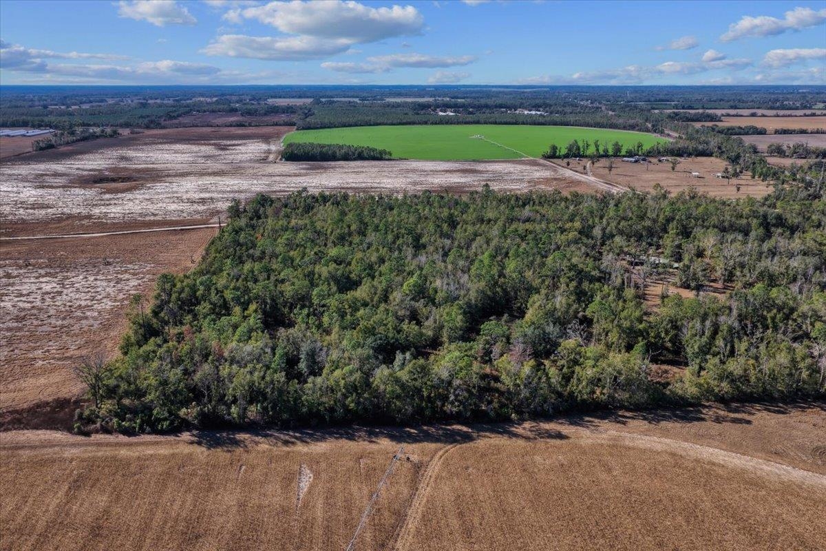 0 Southeast Camelot Way Lee, FL 32059 - Photo 16 of 19