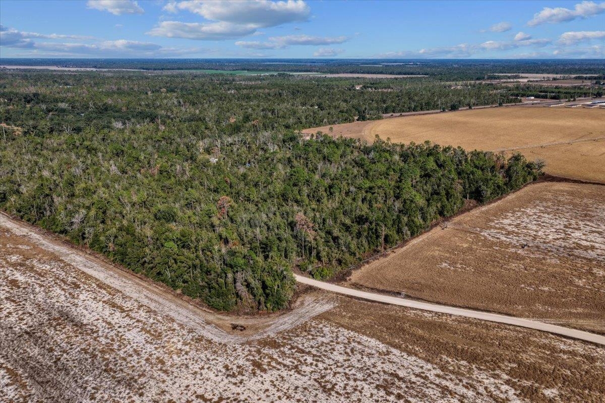 0 Southeast Camelot Way Lee, FL 32059 - Photo 3 of 19