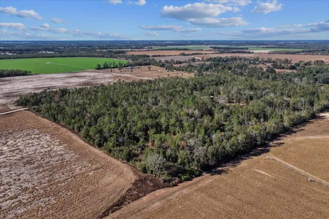 $170,000 | 0 Southeast Camelot Way, Lee, FL 32059