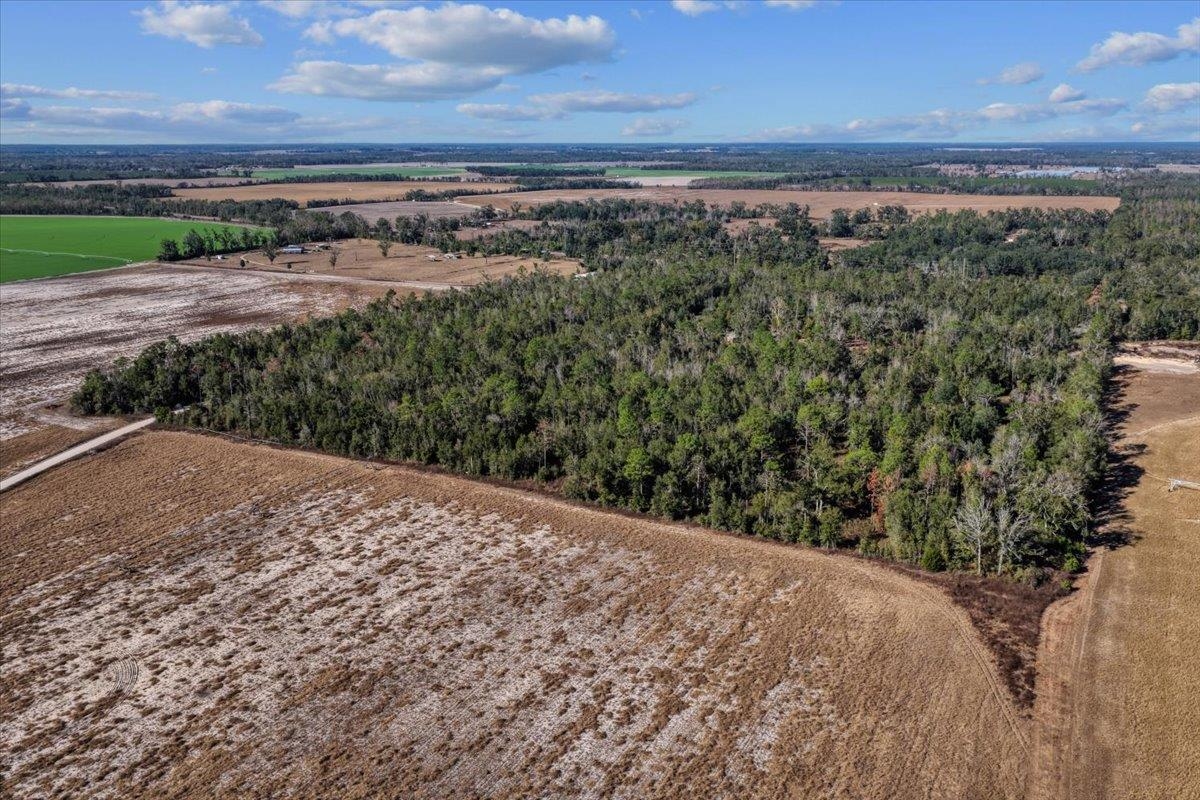 0 Southeast Camelot Way Lee, FL 32059 - Photo 5 of 19