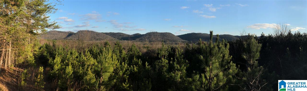 0 Duck Springs Road, Unit 2 PARCELS Attalla, AL 35954 - Photo 18 of 24