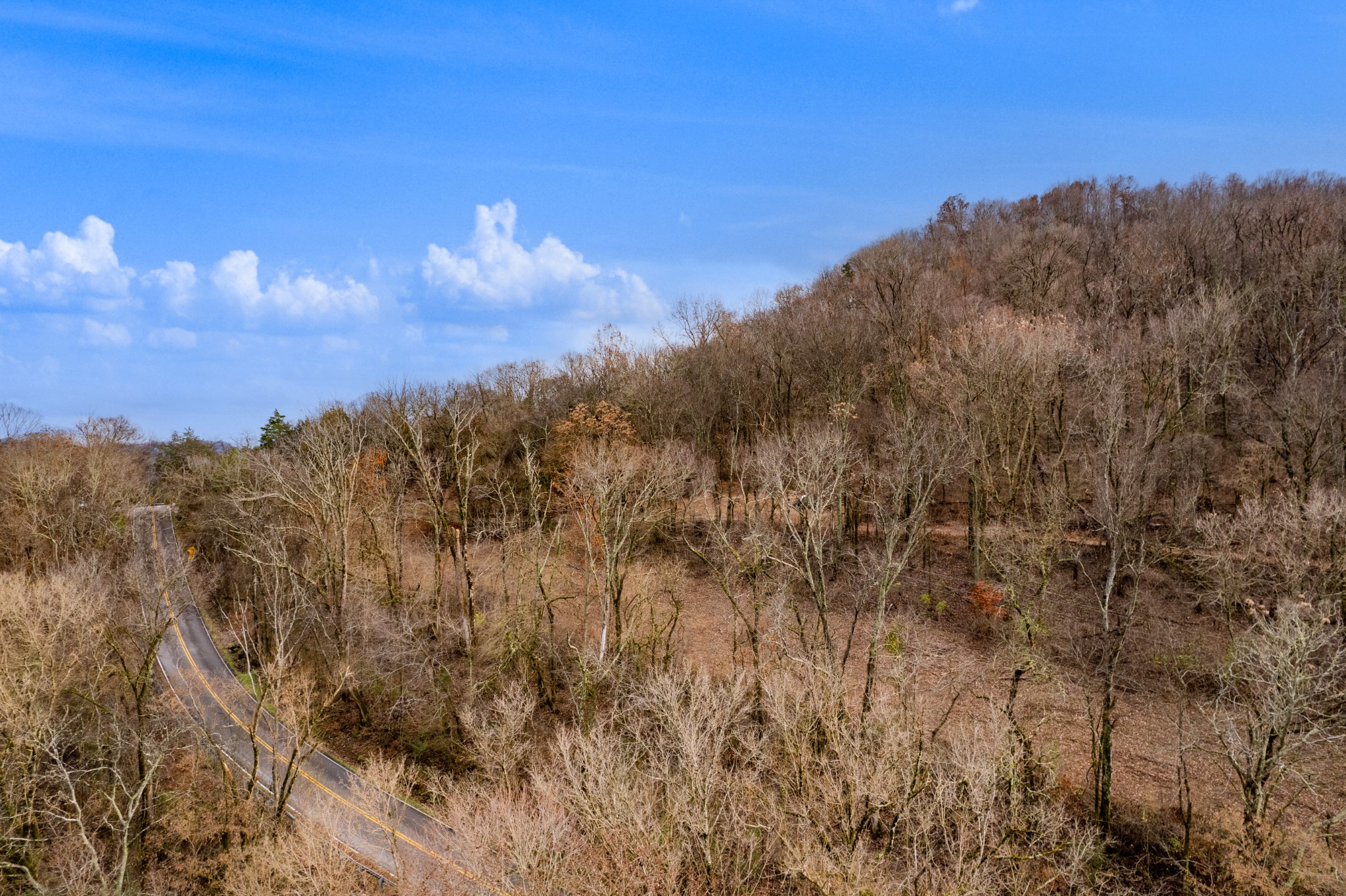 0 Fort Blount Road Dixon Springs, TN 37057 - Photo 11 of 37 a view of a bunch of trees