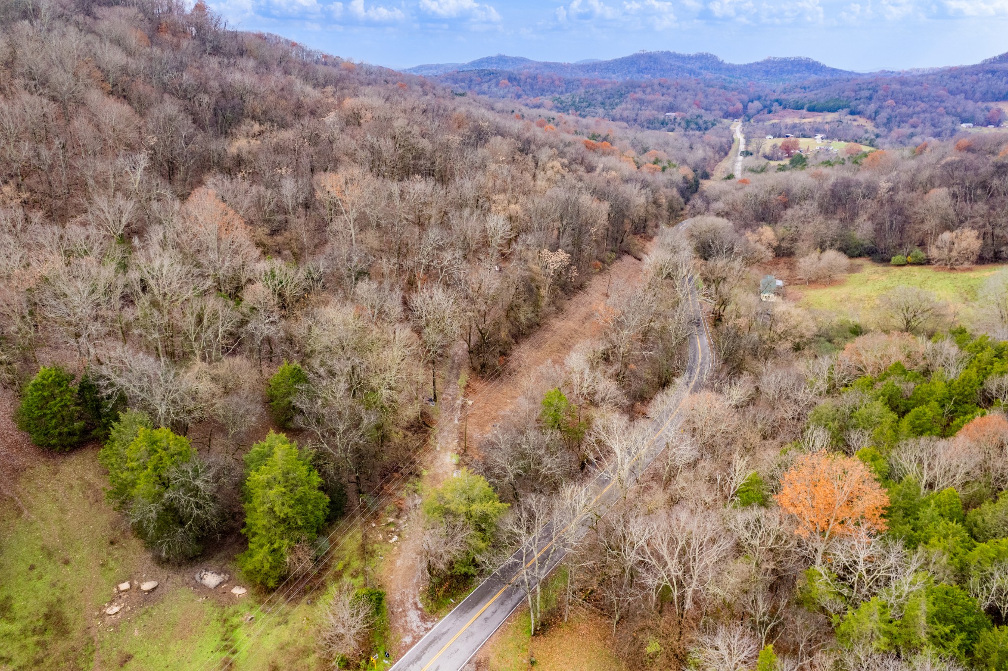 0 Fort Blount Road Dixon Springs, TN 37057 - Photo 14 of 37 a view of a forest with mountains in the background