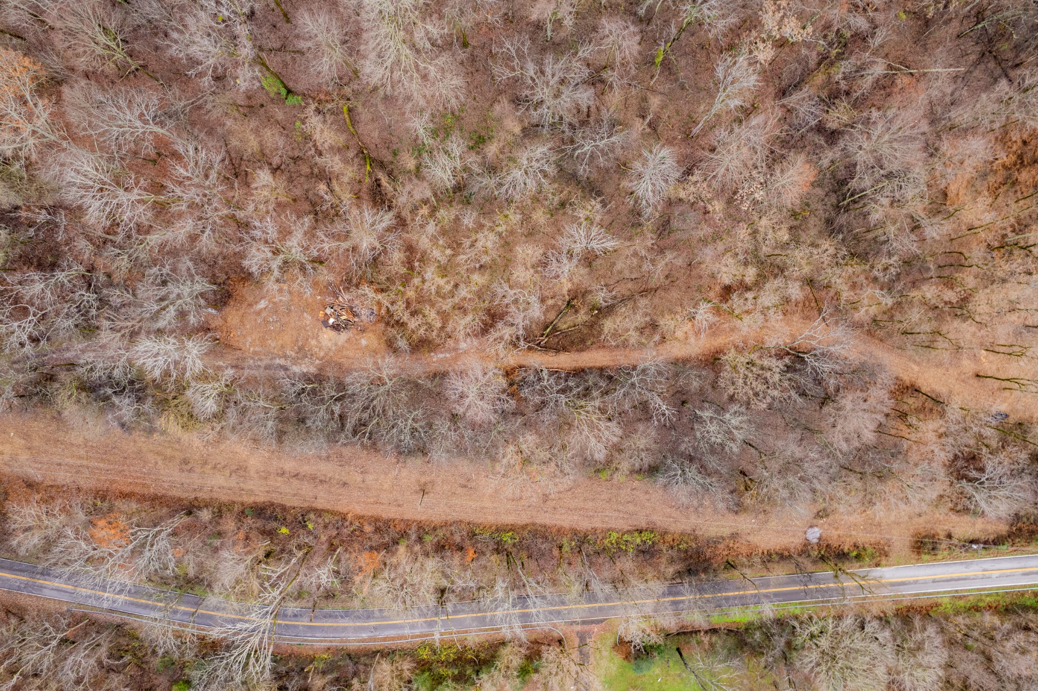 0 Fort Blount Road Dixon Springs, TN 37057 - Photo 19 of 37 a view of ocean