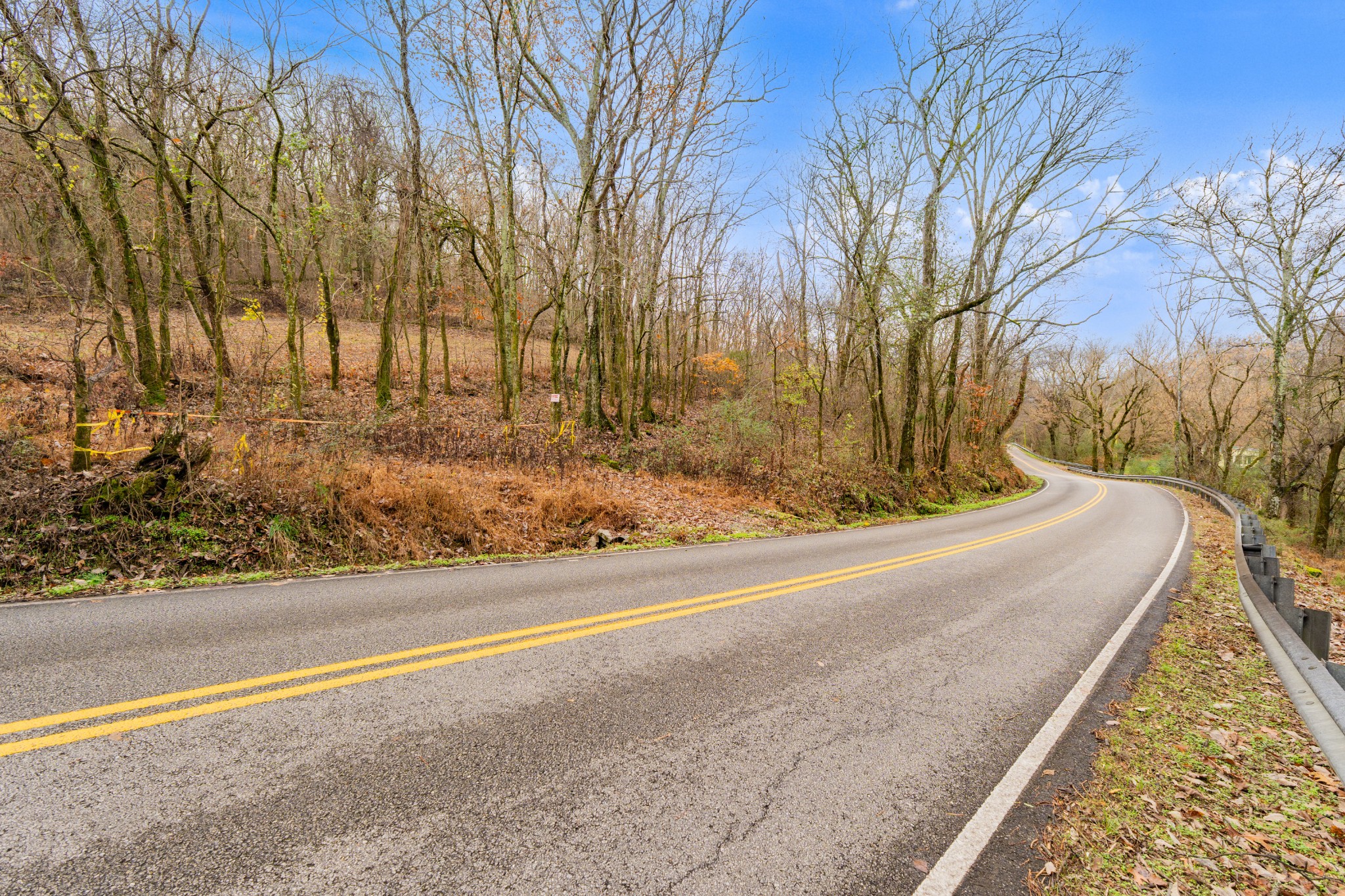 0 Fort Blount Road Dixon Springs, TN 37057 - Photo 23 of 37 a view of a yard with large trees