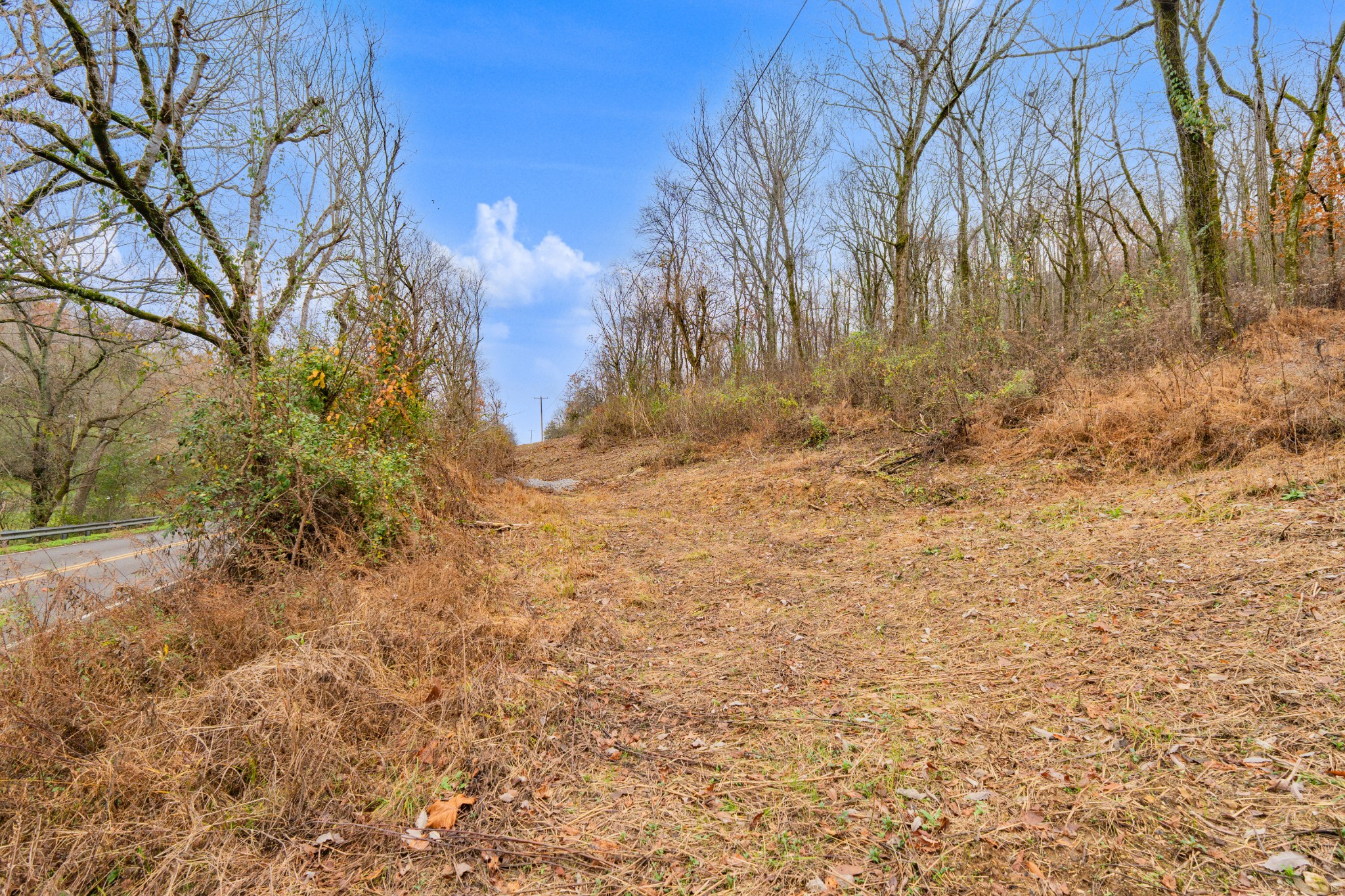 0 Fort Blount Road Dixon Springs, TN 37057 - Photo 26 of 37 a view of a yard with trees