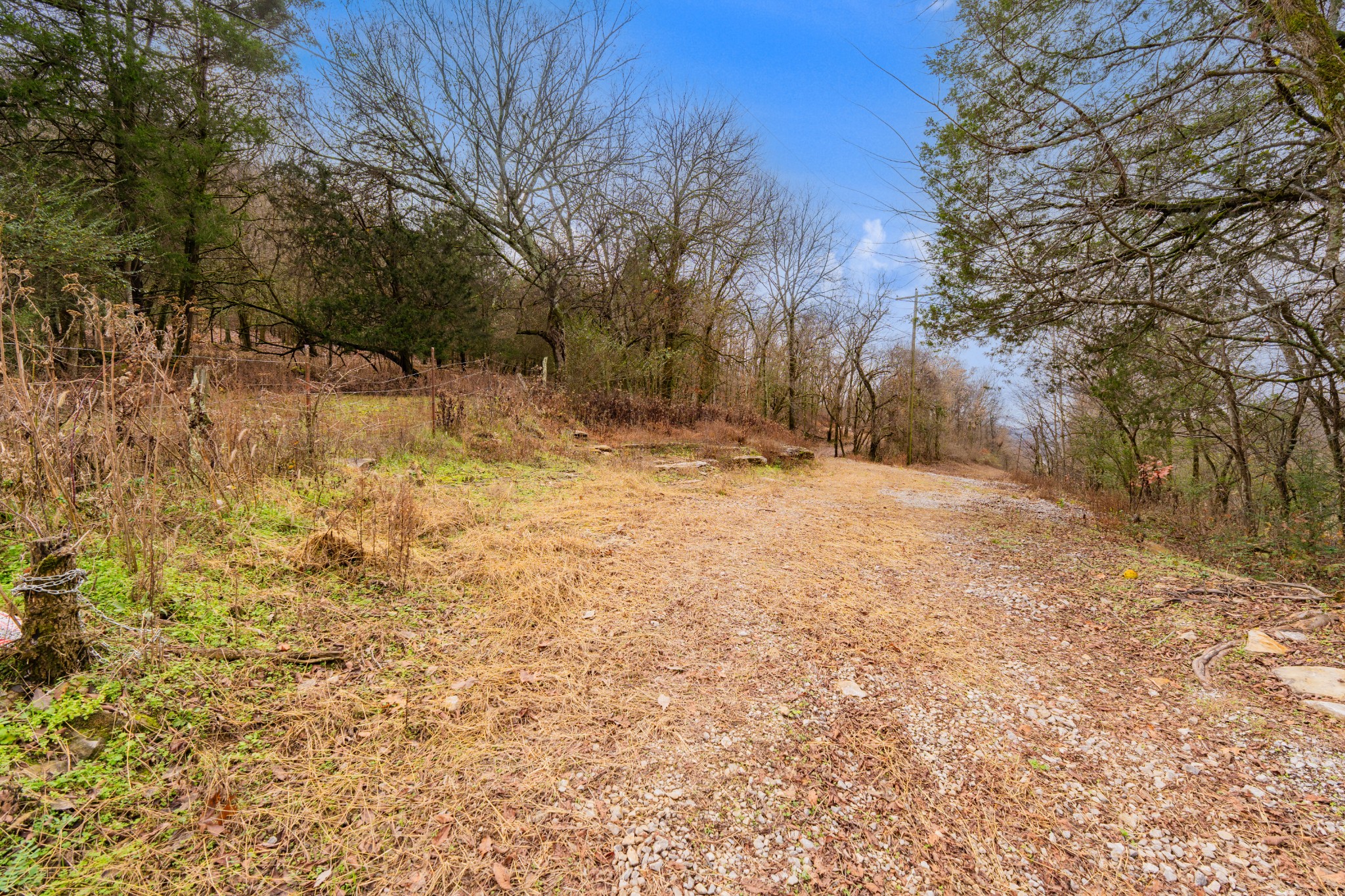 0 Fort Blount Road Dixon Springs, TN 37057 - Photo 31 of 37 a view of empty yard with trees
