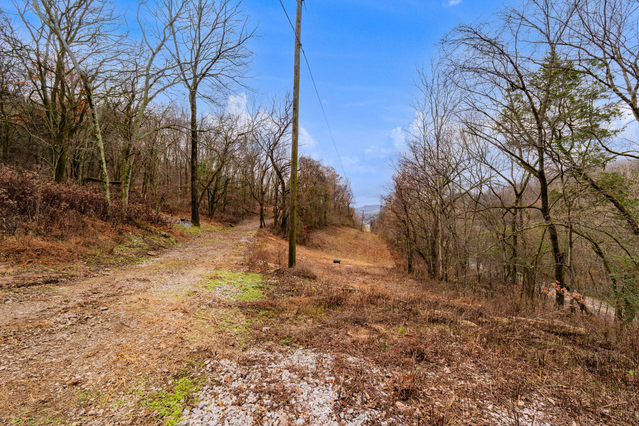 0 Fort Blount Road Dixon Springs, TN 37057 - Photo 32 of 37 a view of a yard with trees