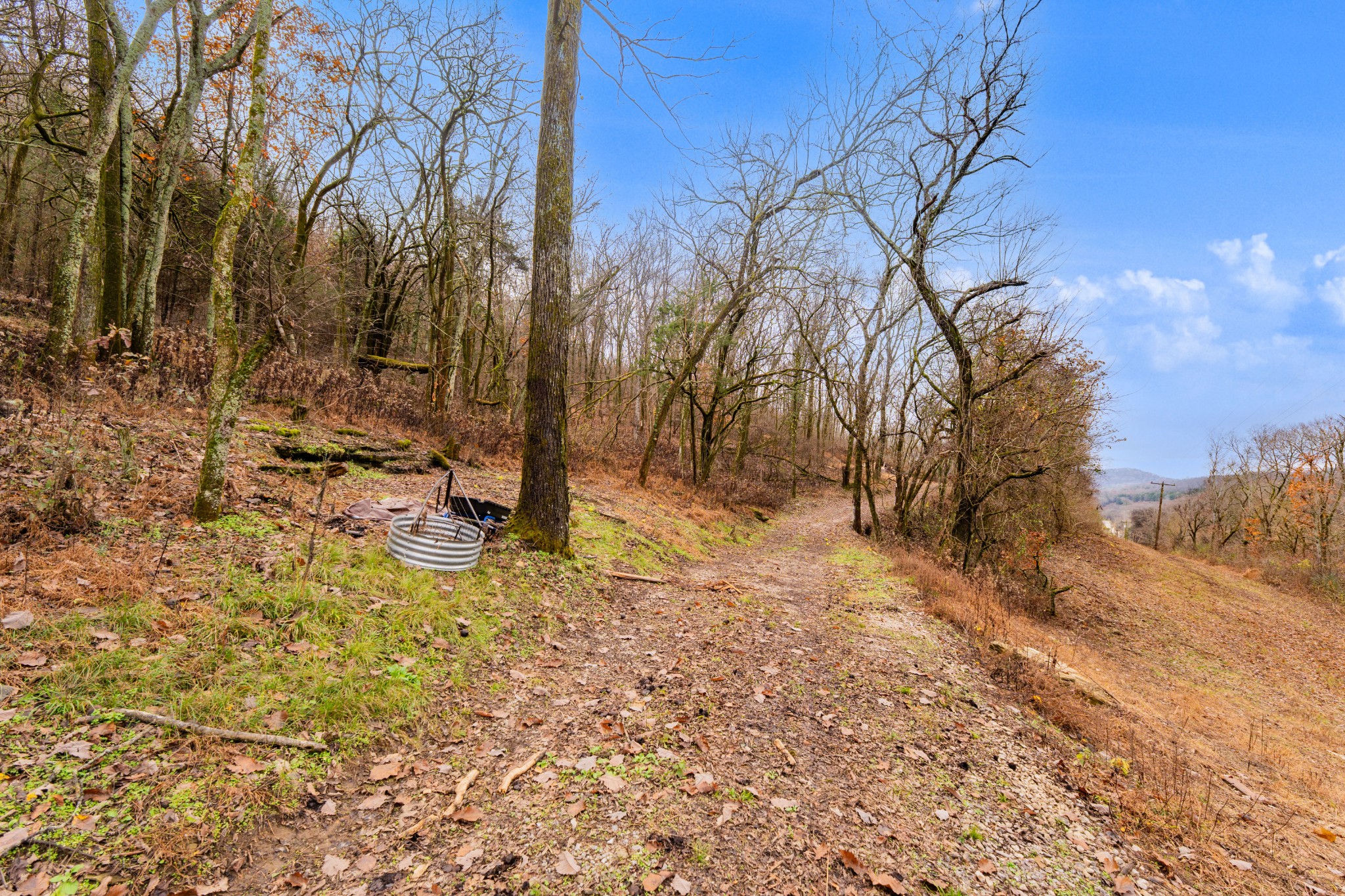 0 Fort Blount Road Dixon Springs, TN 37057 - Photo 33 of 37 a view of backyard of a house