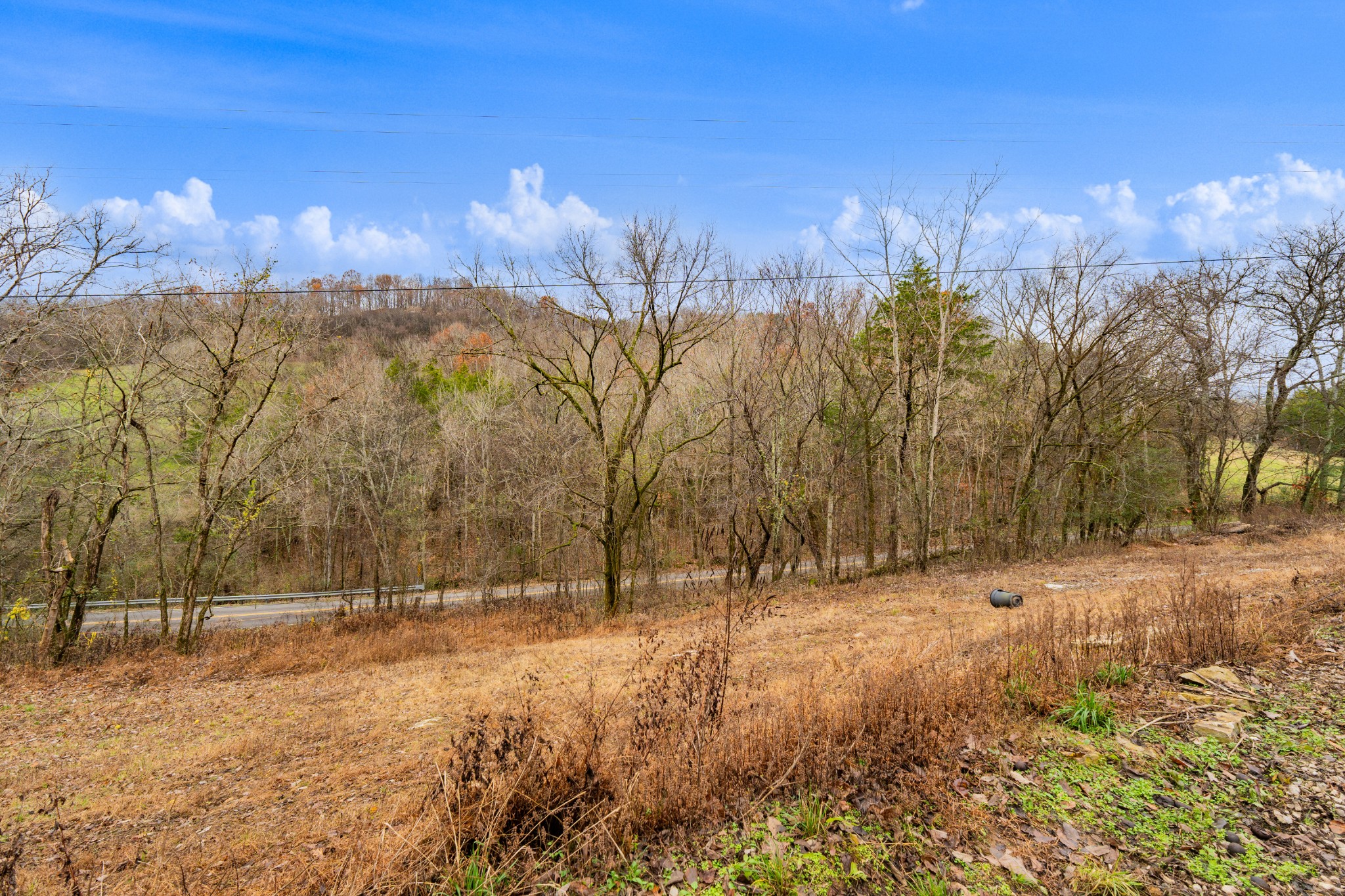 0 Fort Blount Road Dixon Springs, TN 37057 - Photo 35 of 37 a view of outdoor space and trees