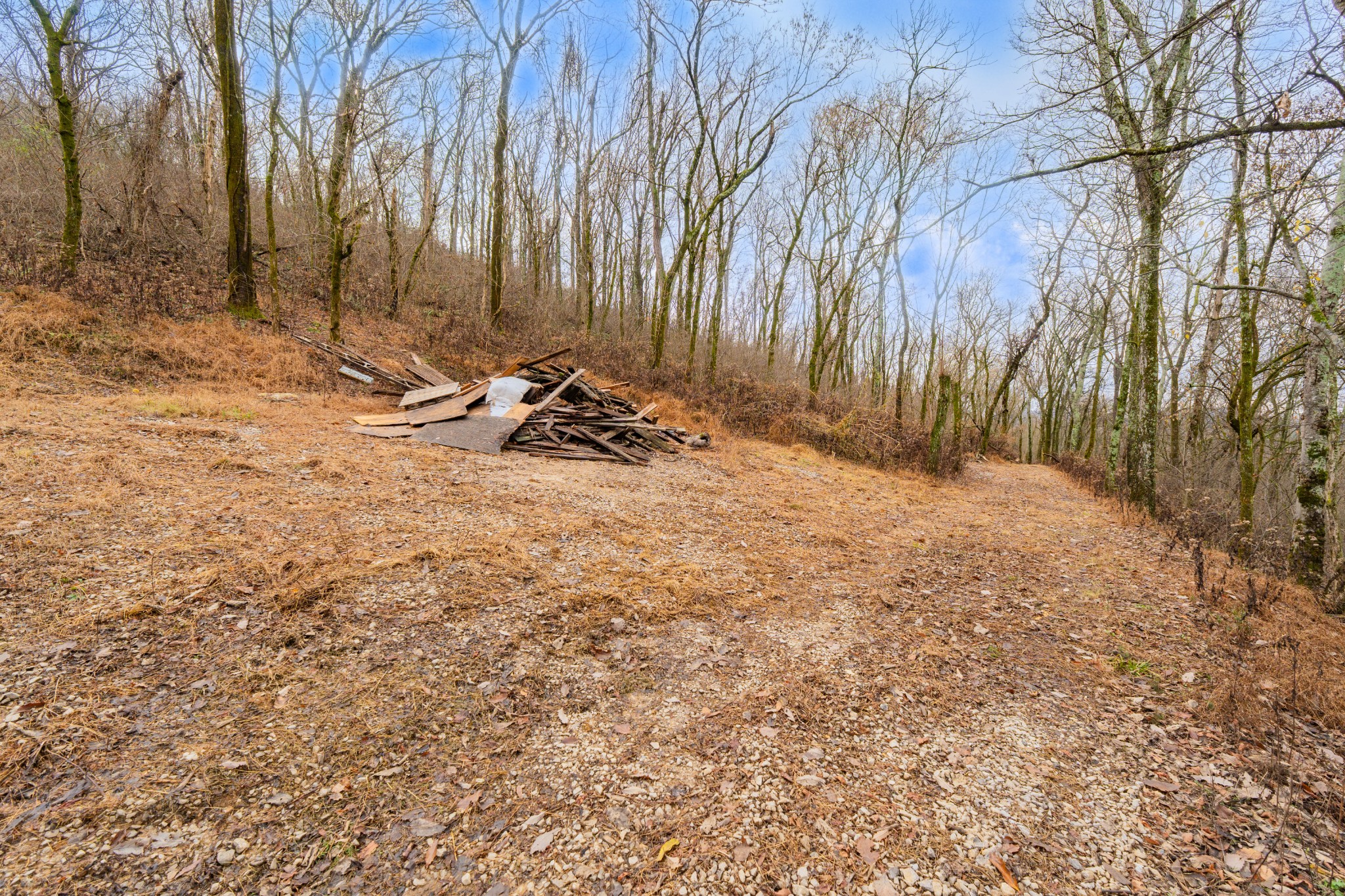 0 Fort Blount Road Dixon Springs, TN 37057 - Photo 36 of 37 a view of a backyard of the house