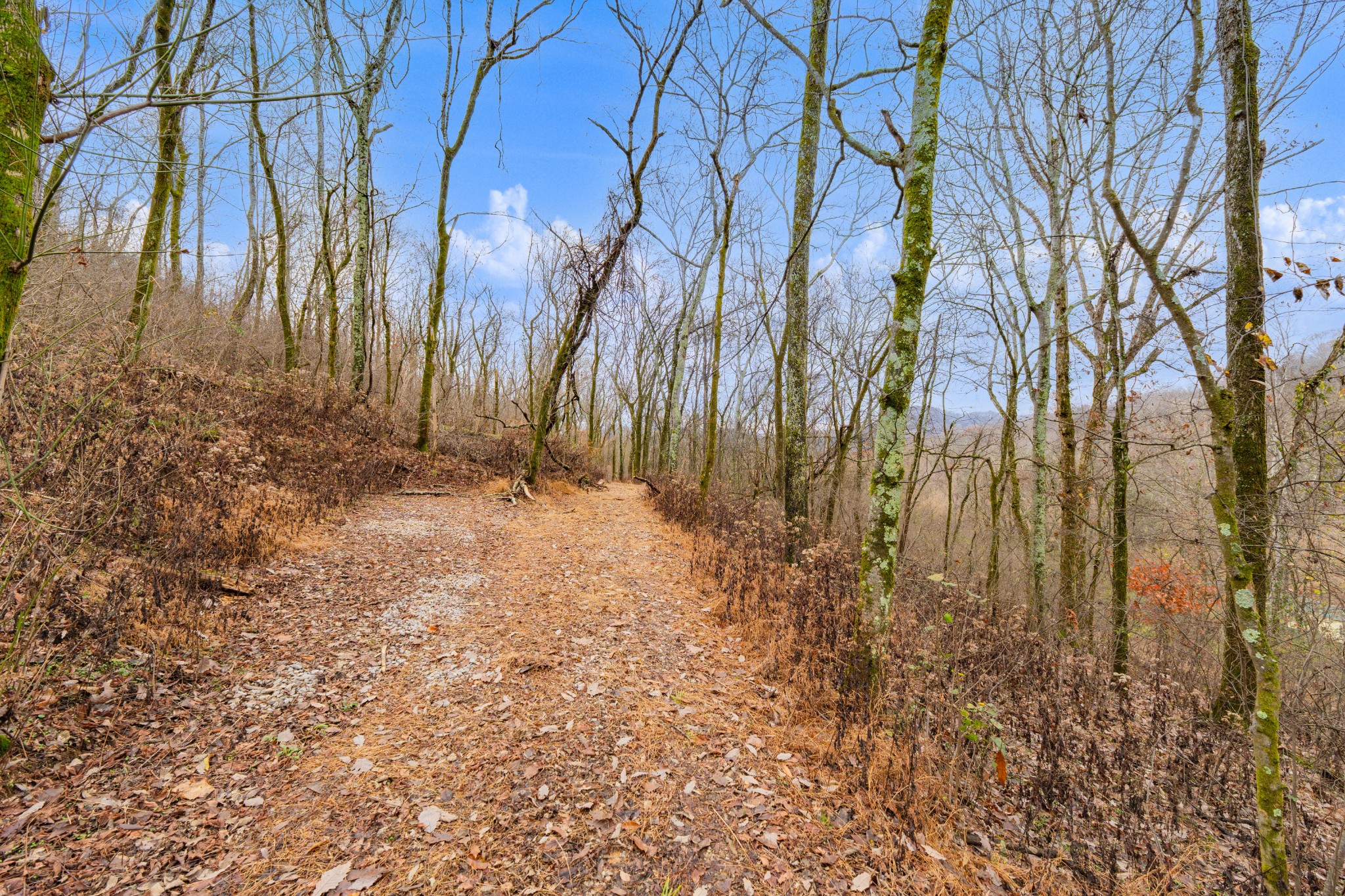 0 Fort Blount Road Dixon Springs, TN 37057 - Photo 37 of 37 a backyard of a house with lots of green space
