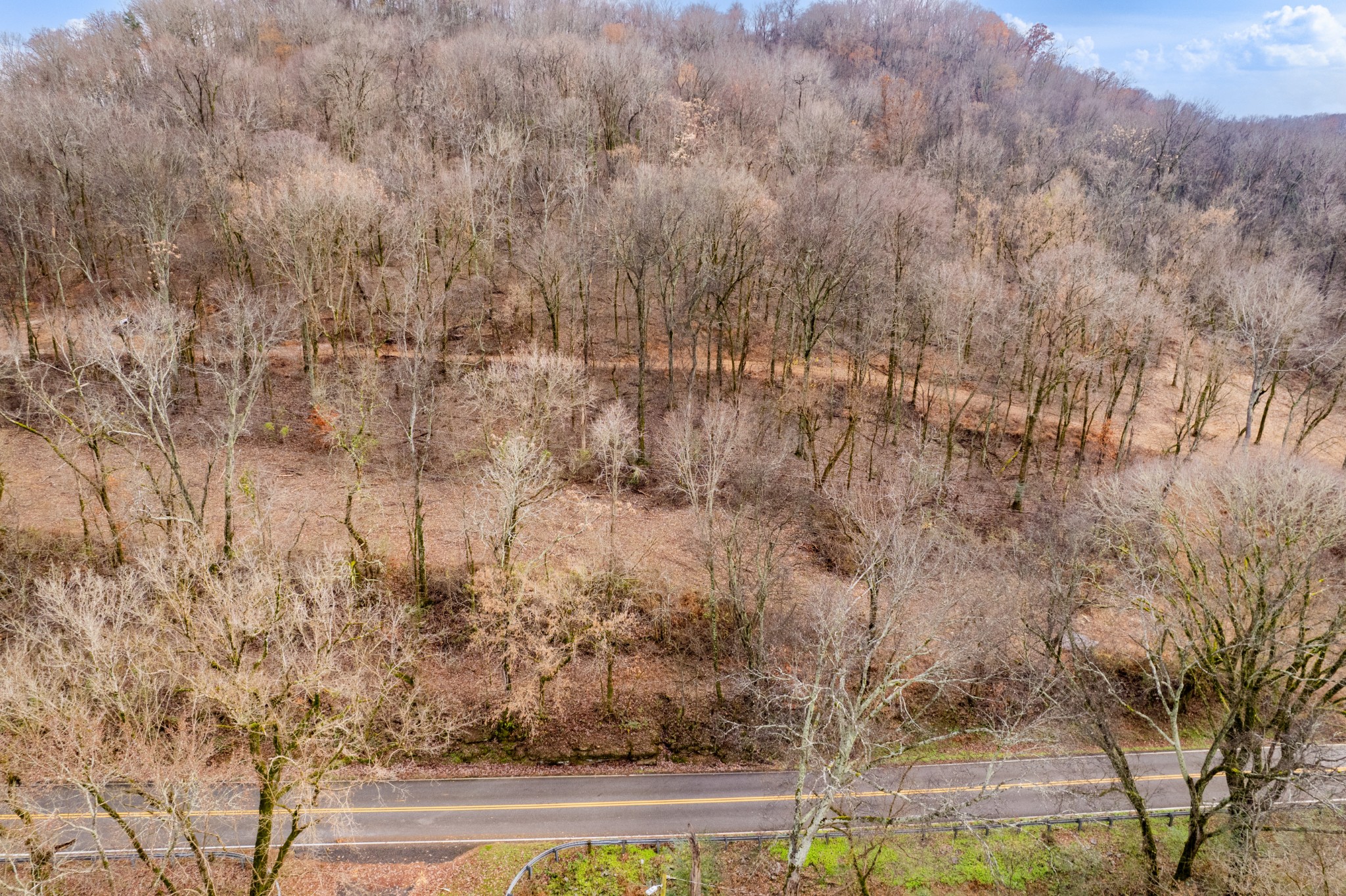 0 Fort Blount Road Dixon Springs, TN 37057 - Photo 8 of 37 a view of a yard